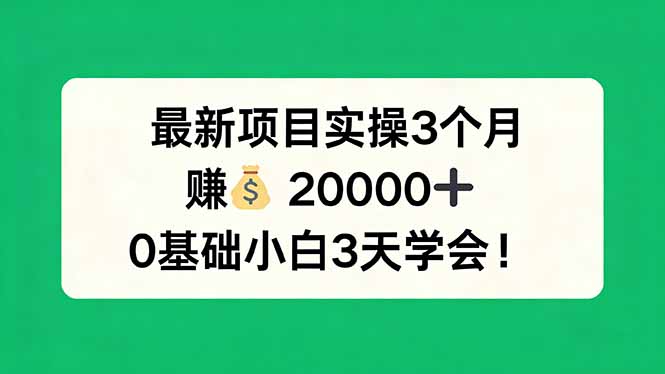 最新项目实操3个月，赚钱20000+，0基础小白3天学会！-网创项目