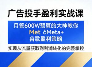 广告投手盈利实战课，月管600W预算的大神教你Meta+谷歌盈利策略，实现从流量获取到利润转化的完整掌控-网创项目