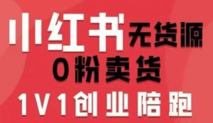小红书无货源0粉电商课，开店准备、选品策略、笔记撰写、视频剪辑、数据分析、账号打造、资料文档(更新26年4月20日)-网创项目