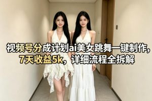视频号分成计划ai美女跳舞一键制作，7天收益5k，详细流程全拆解-网创项目