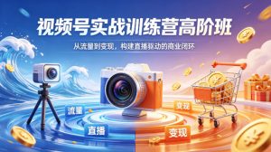 视频号实战训练营高阶班，从流量到变现，构建直播驱动的商业闭环(26年4月)-网创项目