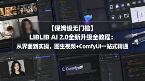 【保姆级无门槛】LIBLIB AI 2.0全新升级全教程：从界面到实操，图生视频+ComfyUI一站式精通-网创项目