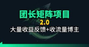 【团长合作2.0】视频矩阵项目_招发手矩阵+剪辑师，共赢项目【揭秘】-网创项目
