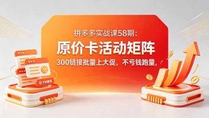拼多多实战课58期：原价卡活动矩阵，300链接批量上大促，不亏钱跑量-网创项目