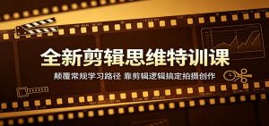 全新剪辑思维特训课：颠覆常规学习路径，靠剪辑逻辑搞定拍摄创作-网创项目