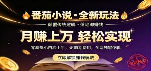 番茄小说5月最新独家玩法，稳定落地实测月入过万！-网创项目