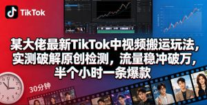 某大佬最新TikTok中视频搬运玩法，实测破解原创检测，流量稳冲破万，半个小时一条爆款-网创项目