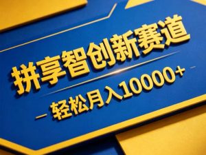 拼享智创新赛道，轻松月入1W+，门槛极低、收益稳定、可长期放大的轻资产项目【揭秘】-网创项目