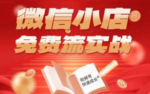 微信小店免费流实战，有货源无货源双模式，从开店到爆单全实操课，小白也能月入1W+-网创项目