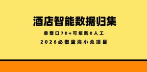 酒店智能数据归集，小众蓝海已经稳定半年之久，单窗口70+零成本矩阵开干【揭秘】-网创项目