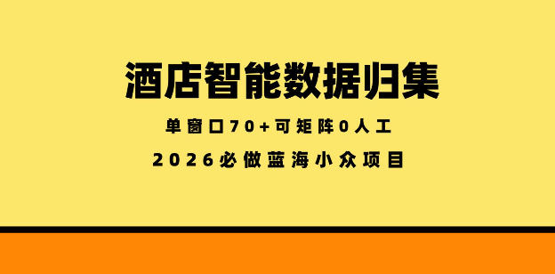 酒店智能数据归集，小众蓝海已经稳定半年之久，单窗口70+零成本矩阵开干【揭秘】-网创项目