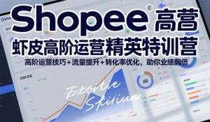 Shopee虾皮高阶运营精英特训营，高阶运营技巧+流量提升+转化率优化，助你业绩翻倍(更新26年5月)-网创项目