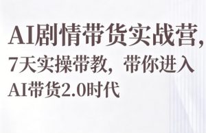 AI剧情带货实战营，7天实操带教，带你进入AI带货2.0时代-网创项目