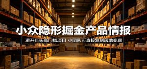 小众隐形掘金产品情报：避开巨头高门槛项目，小团队可直接复刻落地变现-网创项目