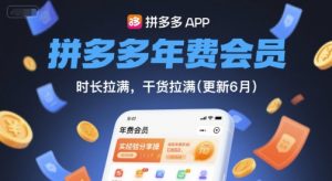 拼多多年费会员，实经验分享操，时长拉满，干货拉满(更新26年05月15日)-网创项目