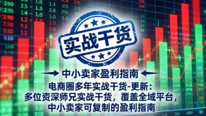 电商圈多年实战干货-更新5月20：多位资深师兄实战干货/覆盖全域平台，中小卖家可复制的盈利指南-网创项目