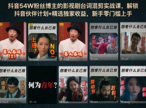 抖音54W粉丝博主的影视剧台词混剪实战课,解锁抖音伙伴计划+精选独家收益,新手零门槛上手-网创项目
