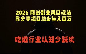 2026 网创副业风口玩法，靠分享项目稳步年入百万，吃透行业认知少踩坑-网创项目