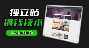 干货来袭！麦子甜带你吃透独立站｜从搭建到引流一站式教学《独立站》第一期-网创项目