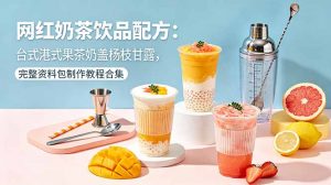网红奶茶饮品配方：台式港式果茶奶盖杨枝甘露，完整资料包制作教程合集-网创项目