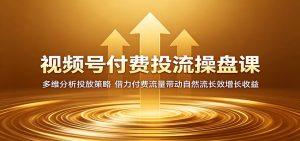 视频号付费投流操盘课：多维分析投放策略，借力付费流量带动自然流长效增长收益-网创项目