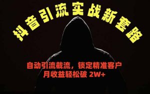 抖音引流实战新套路，挂机自动引流截流精准锁定客户，月收益破 2W+-网创项目