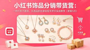 小红书饰品分销带货营：一件代发不囤货，从选品到出单全程手把手实战教学(更新5月-网创项目