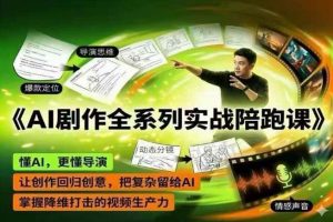 AI剧作全系列实战陪跑课，懂AI，更懂导演，让创作回归创意，把复杂留给AI，掌握降维打击的视频生产力-网创项目