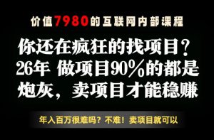 26年请不要疯狂的找项目了，卖项目远比你想象的暴利，你也可以月入10W+【揭秘】-网创项目