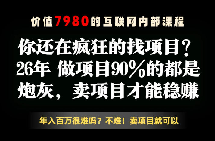 26年请不要疯狂的找项目了，卖项目远比你想象的暴利，你也可以月入10W+【揭秘】-网创项目