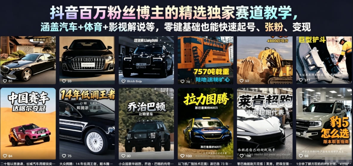 抖音百万粉丝博主的精选独家赛道教学，涵盖汽车+体育+影视解说等，零基础也能快速起号、涨粉、变现-网创项目