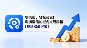 零风险，轻松买卖！利润翻倍的域名交易秘籍！【原创双语字幕】-网创项目