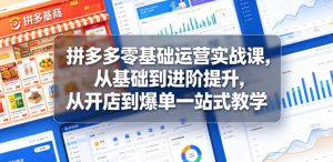 拼多多零基础运营实战课，从基础到进阶提升，从开店到爆单一站式教学-网创项目