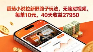 番茄小说拉新野路子玩法，无脑怼视频，每单10元，40天收益27950-网创项目