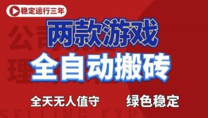 海外游戏全自动搬砖，日入1k+，全天无人值守，绿色稳定！【揭秘】-网创项目