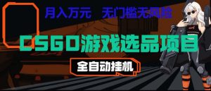 CSGO游戏自动扫货项目，全自动运行，月入1W，无风险，长期稳定可以做【揭秘】-网创项目