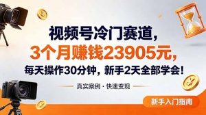 视频号冷门赛道，3个月变现23905元，新手2天学会 每天操作30分钟！-网创项目